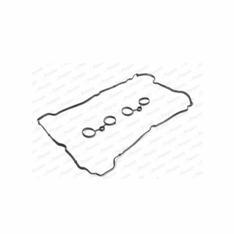PEUGEOT Head Gasket PAYEN HM5371