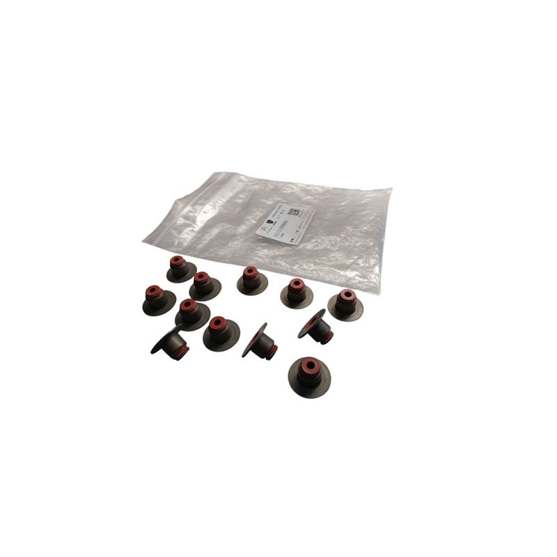 PEUGEOT / CITROEN Valve seals set 1613189880