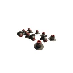 PEUGEOT / CITROEN Valve seals set 1613189880 image 2