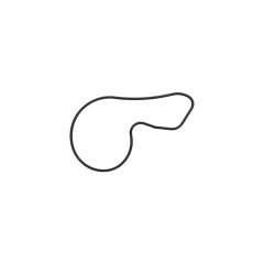 HONDA CR-V / ACCORD / STEPWGN Water Pump Gasket 19222RNAA00 image 1