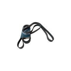 NISSAN / RENAULT V-Ribbed Belt DAYCO 6PK1800