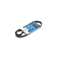 CITROEN / PEUGEOT V-Ribbed Belt DAYCO 6PK894