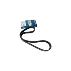 CITROEN / PEUGEOT V-Ribbed Belt DAYCO 6PK894