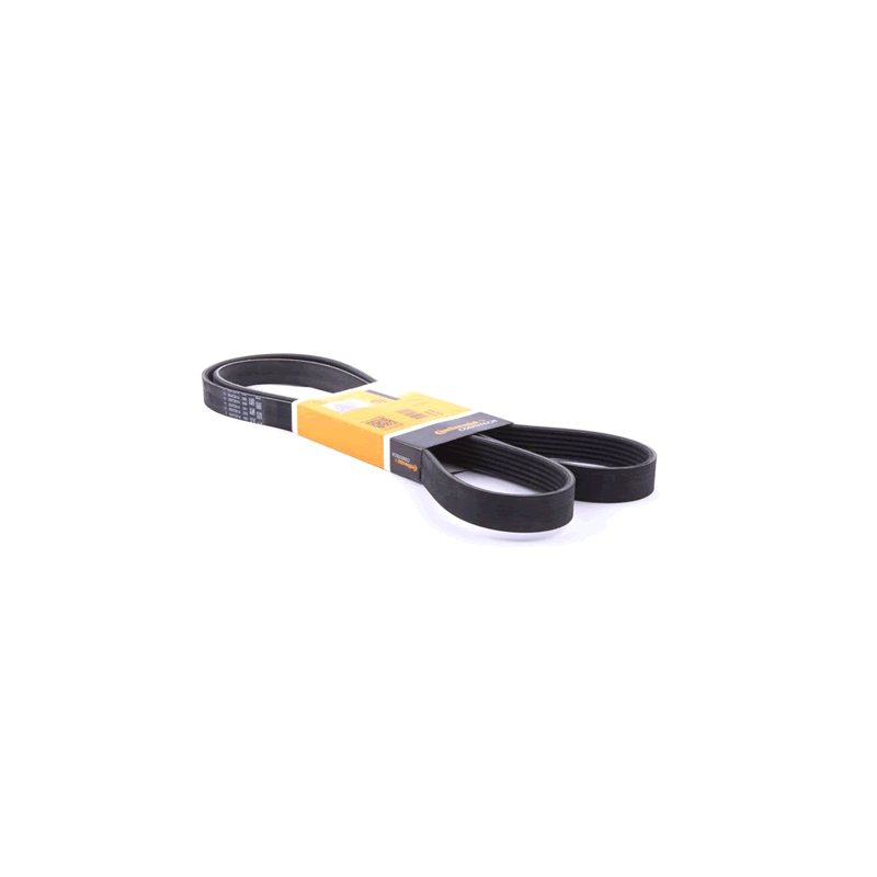 CITROEN / PEUGEOT V-Ribbed Belt CONTITECH 6PK894