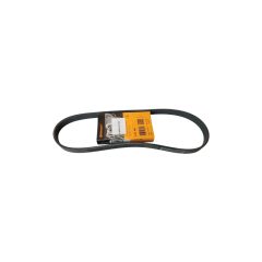 CITROEN / PEUGEOT V-Ribbed Belt CONTITECH 6PK894