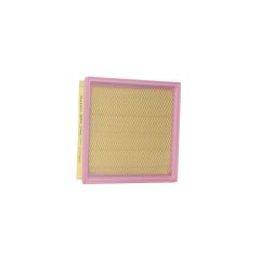 Air Filter VALEO 585245