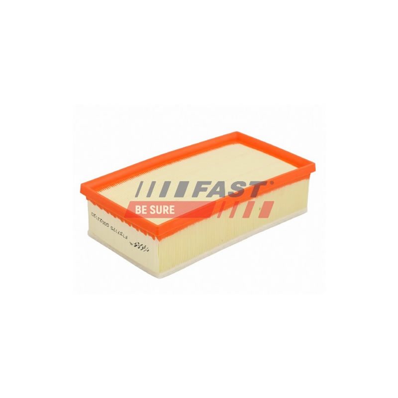 CITROËN, PEUGEOT Air Filter FAST 9800097580