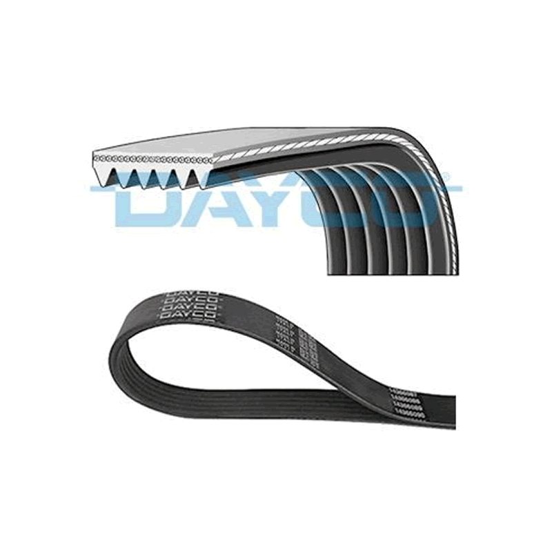 V-Ribbed Belts DAYCO 6PK1744