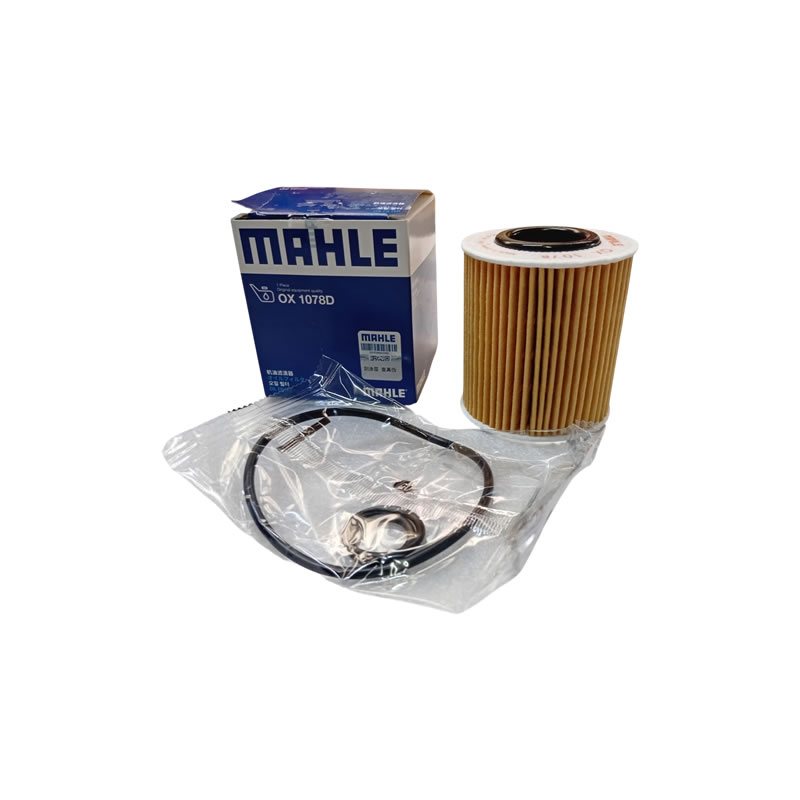 BMW Oil Filter MAHLE 11427619319