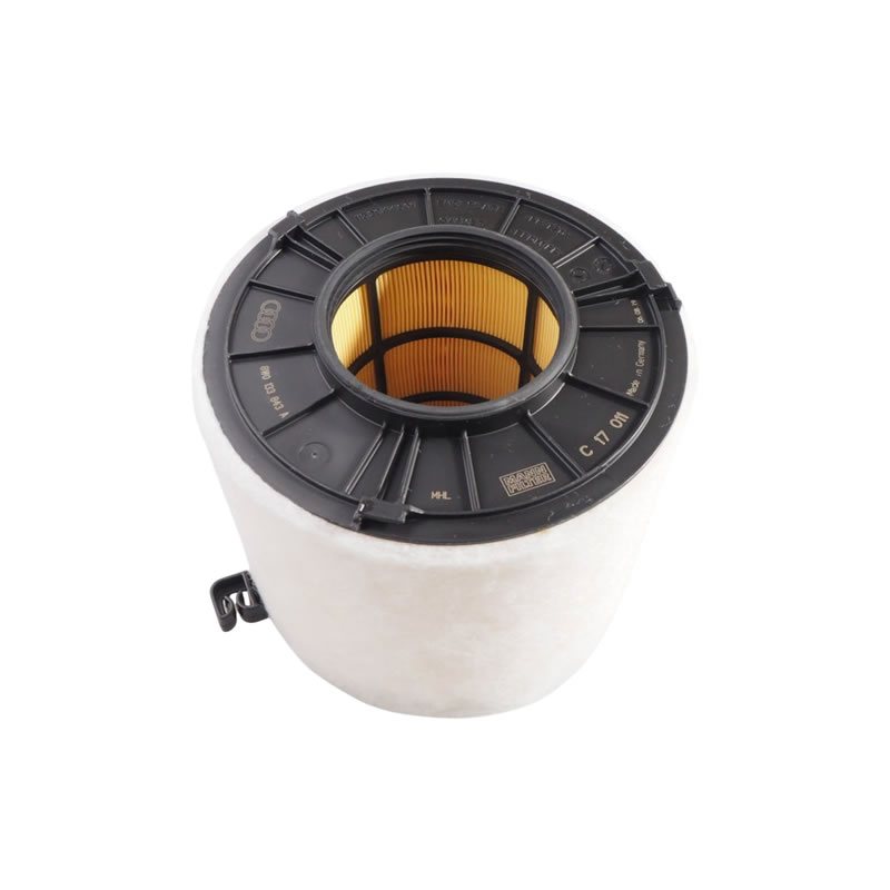Audi A4, A5, Q5 Air Filter 8W0133843A