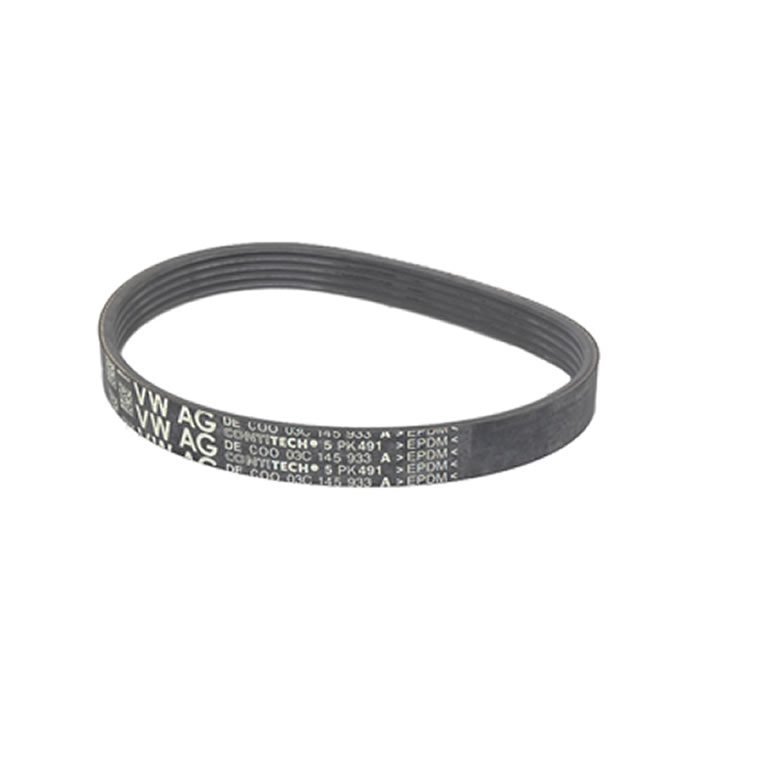V-Ribbed Belt VW Group 5PK491