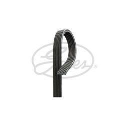 6DPK2281 V-Ribbed Belt, GATES image 2
