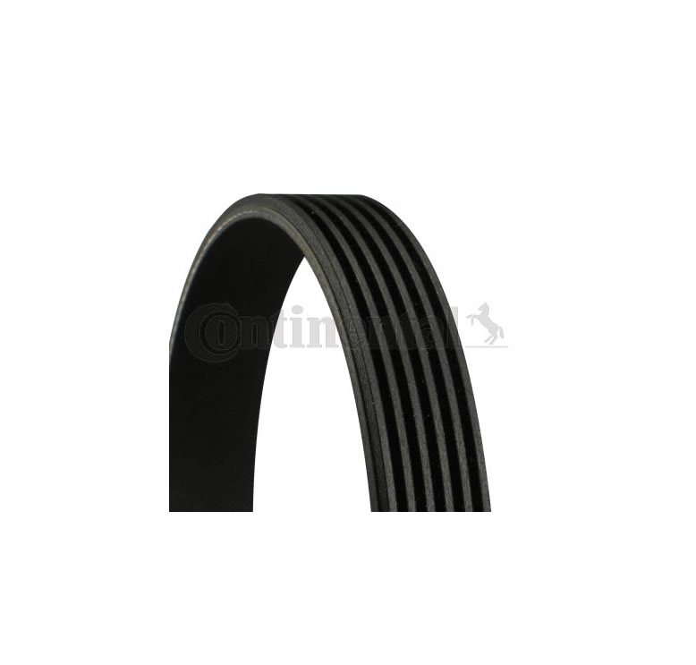 V-Ribbed Belt CONTITECH 6PK1600