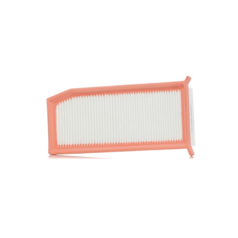 RENAULT GENUINE Air Filter 8660003761