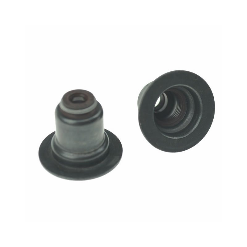BMW / PEUGEOT Valve Seals KIT 095660