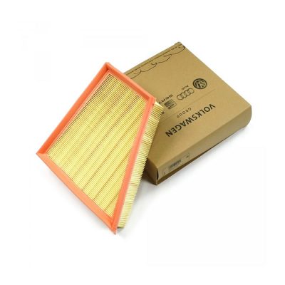 VW Air Filter Genuine 6Y0129620