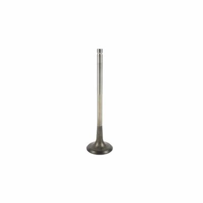 Engine Exhaust Valve FoMoCo BM5Z6505B