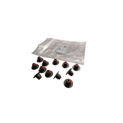 PEUGEOT / CITROEN Valve seals set 1613189880