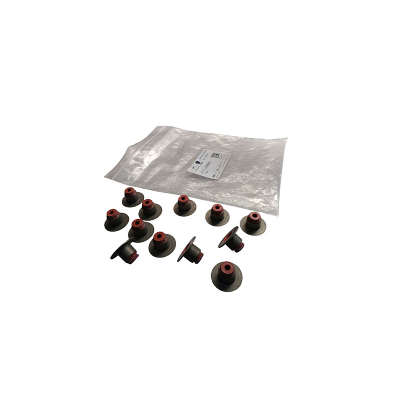 PEUGEOT / CITROEN Valve seals set 1613189880