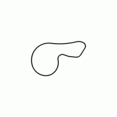 HONDA CR-V / ACCORD / STEPWGN Water Pump Gasket 19222RNAA00