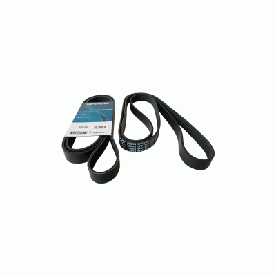 NISSAN / RENAULT V-Ribbed Belt DAYCO 11720JG30B