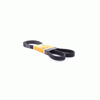 CITROEN / PEUGEOT V-Ribbed Belt CONTITECH 6PK894