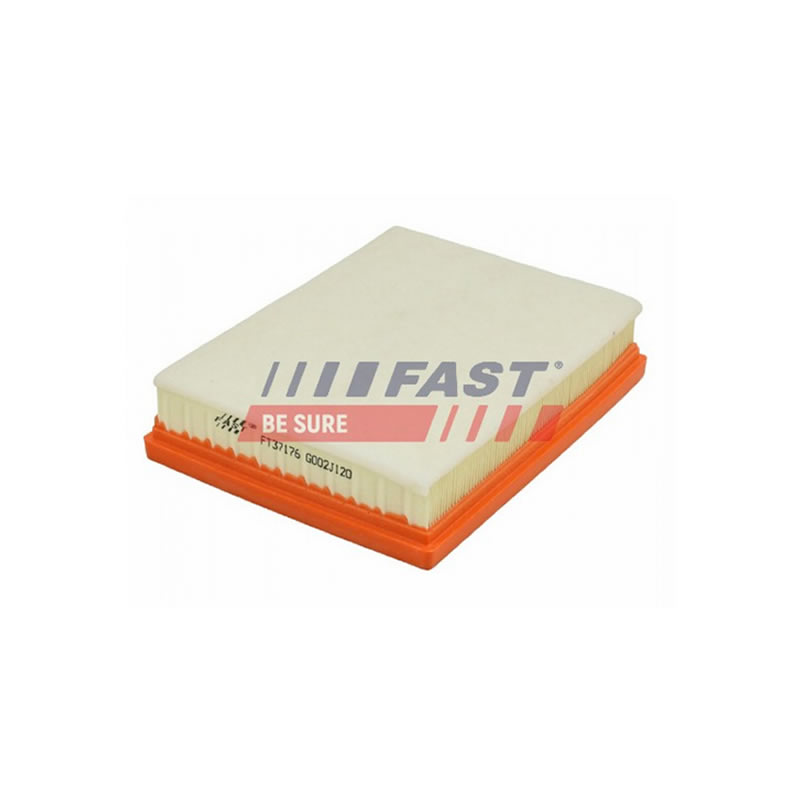CITROËN, PEUGEOT Air Filter FAST 9813908880 - Image 3