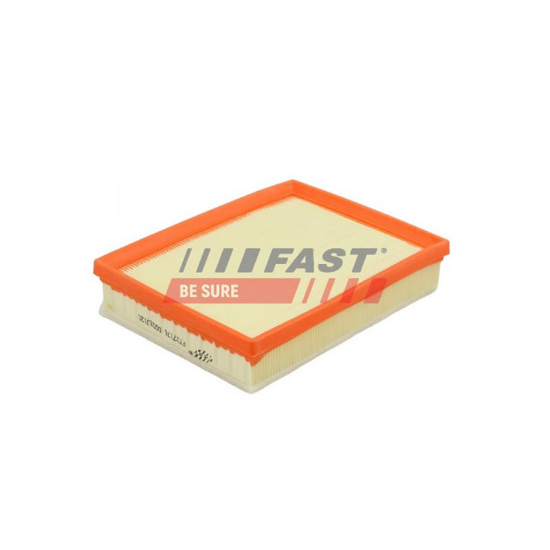 CITROËN, PEUGEOT Air Filter FAST  9813908880
